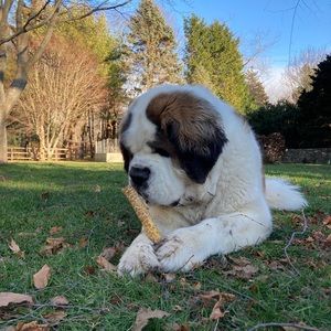 Meet your Posher, Missy